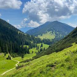 ..den Almsommer ebenso wie wir.