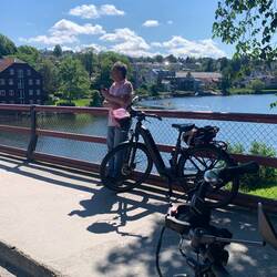 Beobachter am Wegesrand