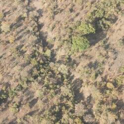 Weit und breit kein Tier zu sehen...