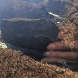 Eins der ersten Bilder, die ich sah - puh, hatte ich Angst, dass alle so spiegeln