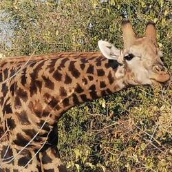 Wer schaut denn da so schön in die Kamera?