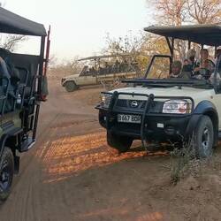 Da warten alle darauf, dass die Löwen vorbei kommen! Vorher traf man ab und zu einen Jeep 😱