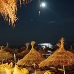 Unser heutiger Blick von der Strandbar☀️