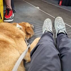 Einfach der falsche Platz.