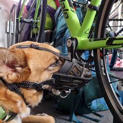 Scheiss Situation. Ich habe Timmy noch nie so enttäuscht erlebt.