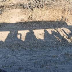 Morgens ist es echt kalt (6 Grad?)