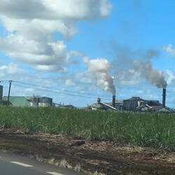 eine Zuckerrohrfabrik 🏭