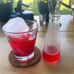 heutige Cocktail Empfehlung: der Klassiker: Campari Soda