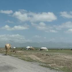 Überall Jurten und Pferde