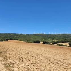 We walked from those windmills behind us