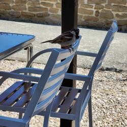 We have company as we take a break (17.3 KM)