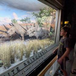 Holden loved all the exhibits.