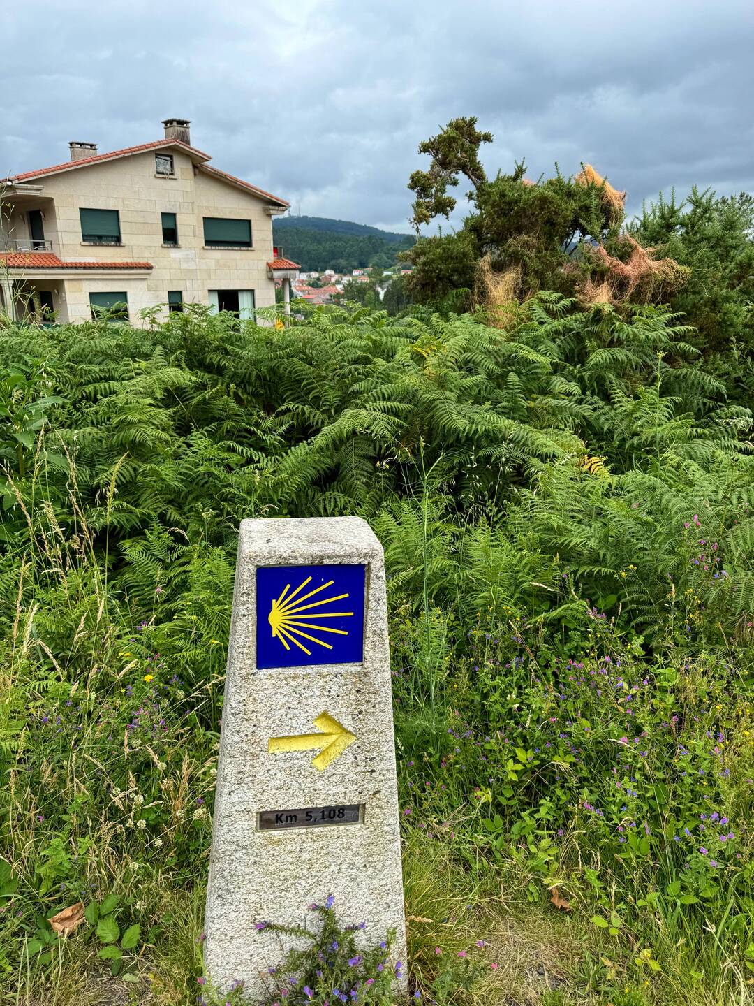 Start of our long walking day, where's the coffee rest stop?