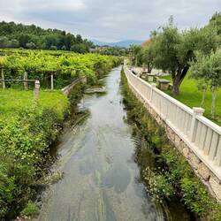 So green and lovely