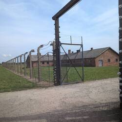 Electrified, barbed wire fences