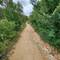 Just the way I like it: flat, greenery, and no big rocks