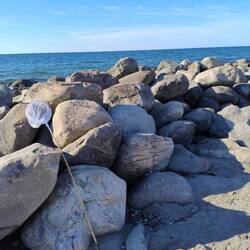 Beliebt hier am Strand: Steine fangen