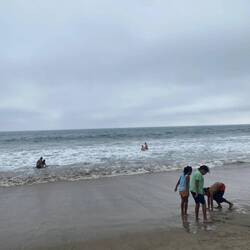 Baignade !!! Attention aux rouleaux