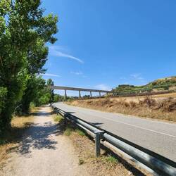 beside the road and under the viaduct