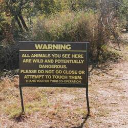 Die anderen trafen gestern einen Elefanten und mehrere Warzenschweine in der Stadt!