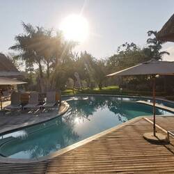 Ich dachte, ich komme heute dazu, den Pool noch mal zu nutzen, aber es gibt ja so viel zu tun!