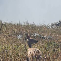 Das ist doch sehr nett, dass sie hier vor dem Wasserfall posieren!
