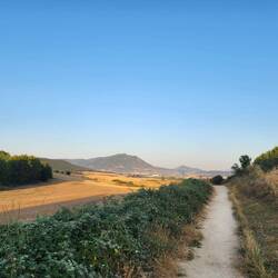 The road ahead