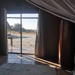 Im Bett liegend Elefanten beobachten!