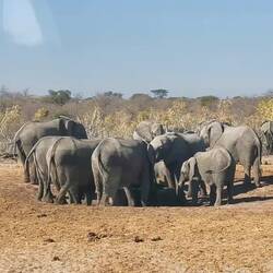 So eine große Familie - und die Kleinen 😍