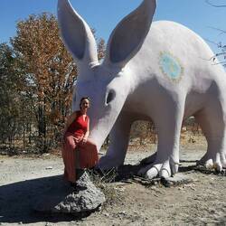 Schon mal auf einer Ameisenbärnase gesessen?