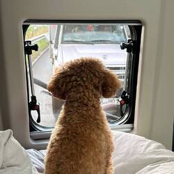 Milla passt auf, dass Oma und O ( das Wort will er nicht hören) nachkommen