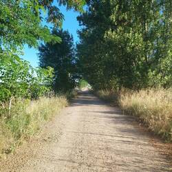 Auf dem Weg nach Léon wird es grüner - eine willkommene Abwechslung.