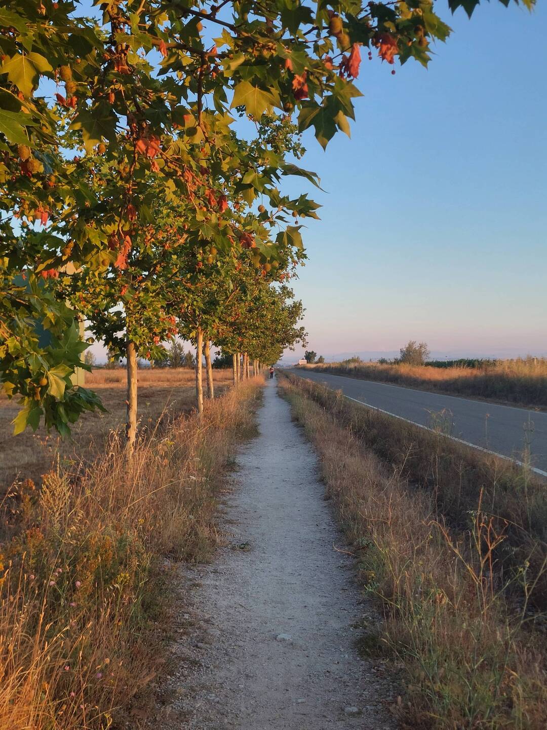 In gewohnter Manier geht es neben Feldern und der Landstraße schnurstracks nach vorne.
