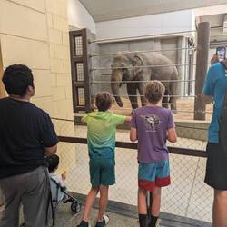 Breakfast for the elephants.