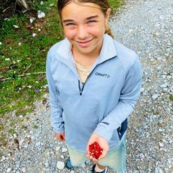 Ordentliche Ausbeute 🍓👍🏽😋