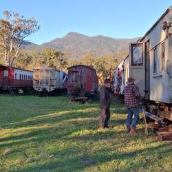 What you can store for restoration on hundreds of hectares! And this is about 1/2 of the collection.
