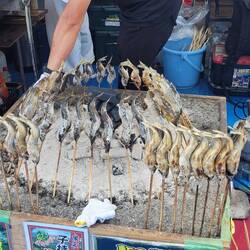 Charcoal sardines Japanese style