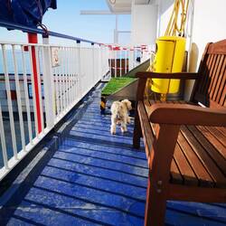 Not peeing here, man