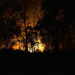 Fuel reduction burns