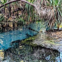 Bitter Springs - 33 degrees