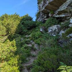 Wer erkennt den Wanderweg?