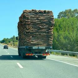 Load of cork bark