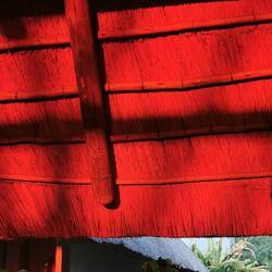 Die Morgensonne färbt alles orange!