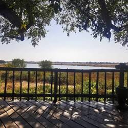 Mit dem Blick ein Käffchen trinken 🤗