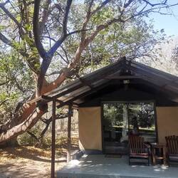 Neue bleibe mit herrlichem Vogelkonzert!