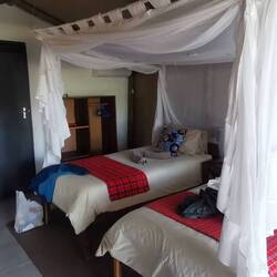 Es sieht so aus, als brauchen wir hier das Mückennetz - viele Insekten unterwegs