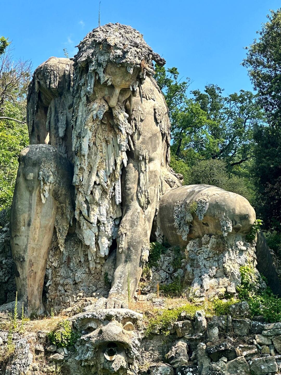 This is Il Gigante. He's at least 20 feet tall, towering over a marsh of lotus flowers.