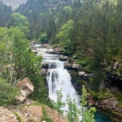 Truly looking like the steps