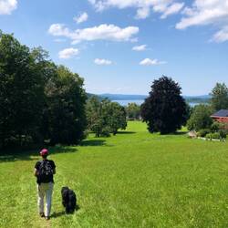 Heute mal zum Staffelsee