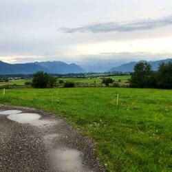 Abendspaziergang nach dem Gewitter. Eine herrliche Luft und Stille!
